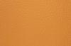 Almond 3002